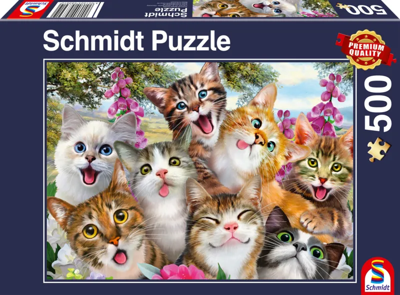 Cats' Selfy
