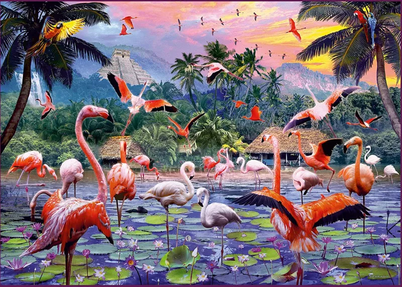 Flamants Roses