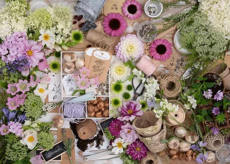 Magnifique Fleur d'Amour