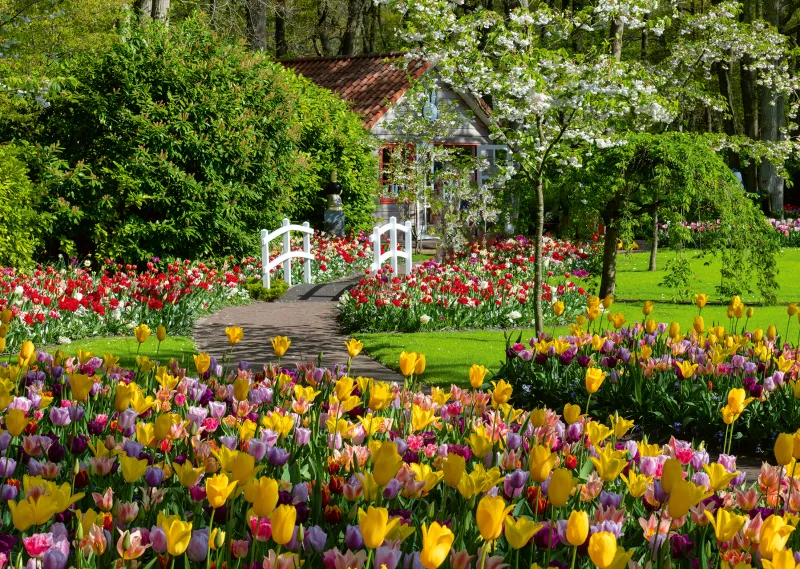 Jardins de Keukenhof, Pays-Bas