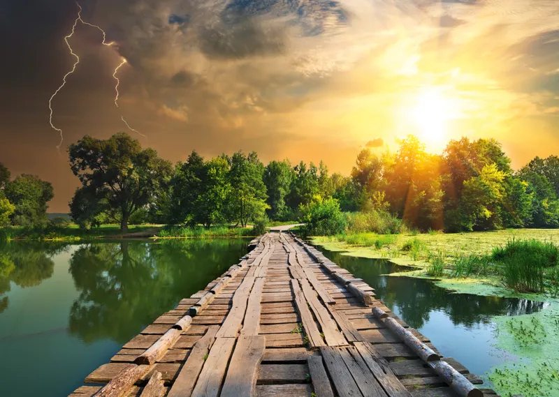 Nature Edition N°3 : Lumière Mystique