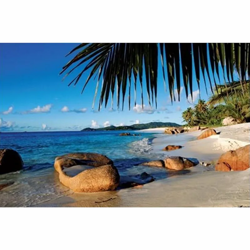 Derrière les palmiers