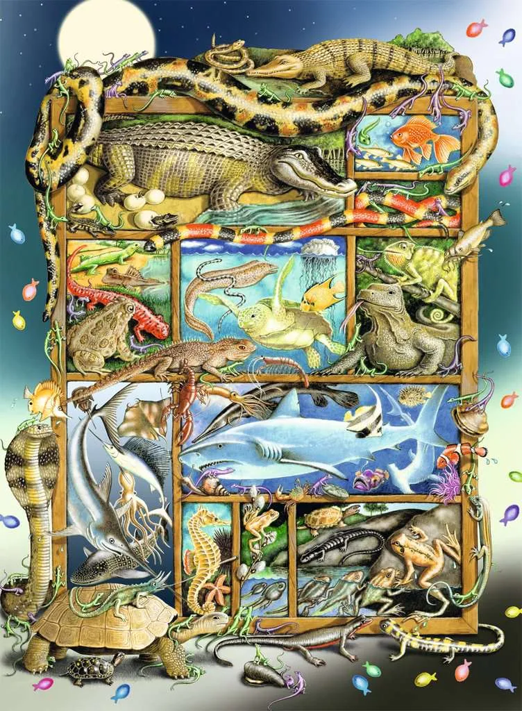 Pièces XXL - Reptiles sur l'Étagère