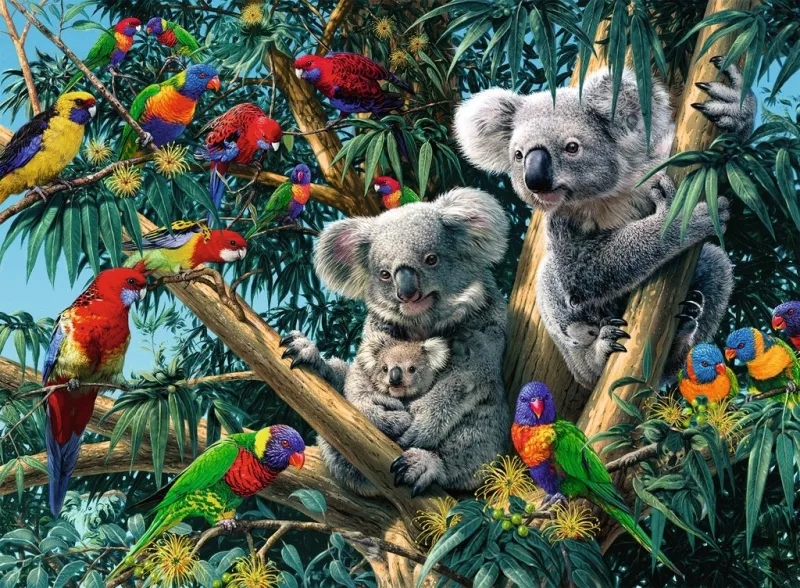 Koalas dans l'Arbre