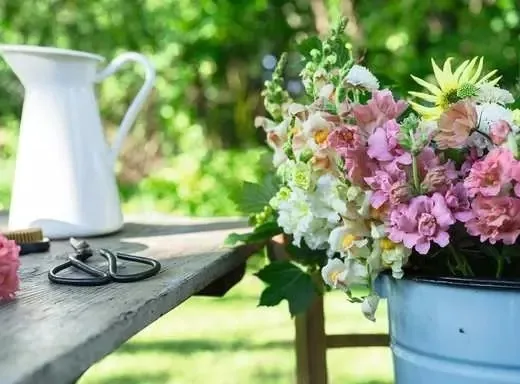 Mufliers Aux Couleurs D'Été