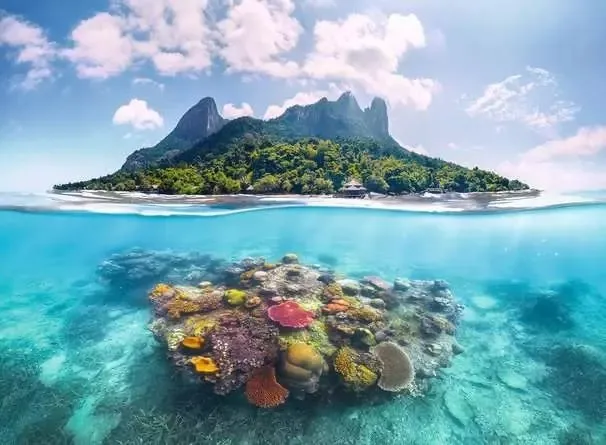 Île Et Monde Corallien