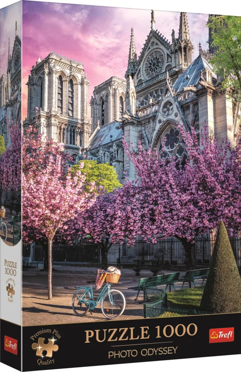 Odyssée Photo : Cathédrale Notre-Dame De Paris