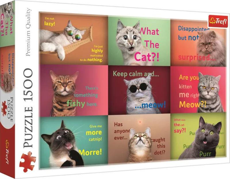 Drôles De Visages De Chats