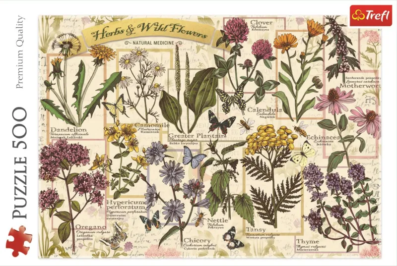 Herbier : Herbes Médicinales