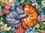 Sommeil aux pattes de velours