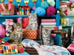 Des Chatons dans la Salle de Couture