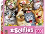 Selfies - Portraits Parfaits