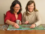 DoodleTown: Une Affaire qui Roule