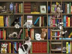 Chatons de Bibliothèque