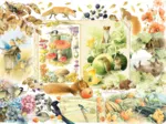 Nature Journal - Automne