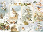 Nature Journal - Hiver
