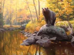 Étang De L'Ours Noir