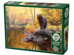 Étang De L'Ours Noir