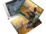 Étang De L'Ours Noir