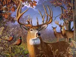 Pièces XXL - Deer and Pheasant