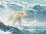 Pièces XXL - Salmon Watch - Spirit Bear