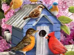 Pièces XXL - Maison d'Oiseau de Printemps