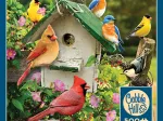 Pièces XXL - Maison d'Oiseaux d'Été