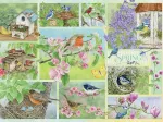 Oiseaux de Jardin au Printemps