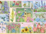 Oiseaux de Jardin en Été