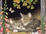 Soeurs