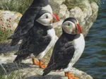Pêcherie