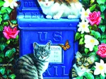 Mail Box Kittens