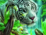 White Tiger of Eden