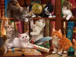 Chatons dans la Librairie