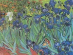 Vincent Van Gogh - Saint-Remy - Les Iris, 1889