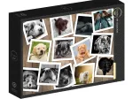 Chiens