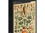 Illustration du Larousse pour Tous : Légumes et Plantes Potagères, XIXè Siècle