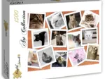 Chats