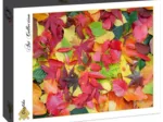 Feuilles d'Automne