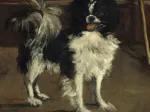 Edouard Manet : Tama : Le Chien Japonais, 1875