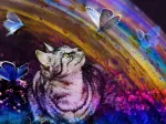 Le Chat et l'Arc-en-Ciel