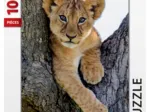 Lionceau du Désert