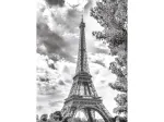 Tour Eiffel Noir et Blanche