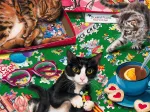 Puzzle Cats