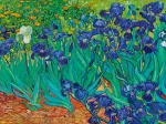 Vincent Van Gogh - Irises, 1889