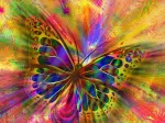 Colorful Butterfly
