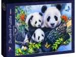 Panda Family