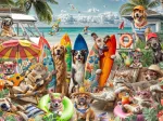Chiens et Chats à la Plage