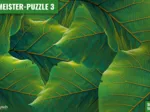 MEISTER-PUZZLE 3 : Feuilles