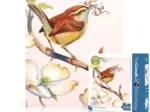 Carolina Wren